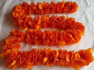 Dashboard Garland - Double Orange